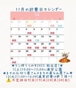11月の診察日カレンダー